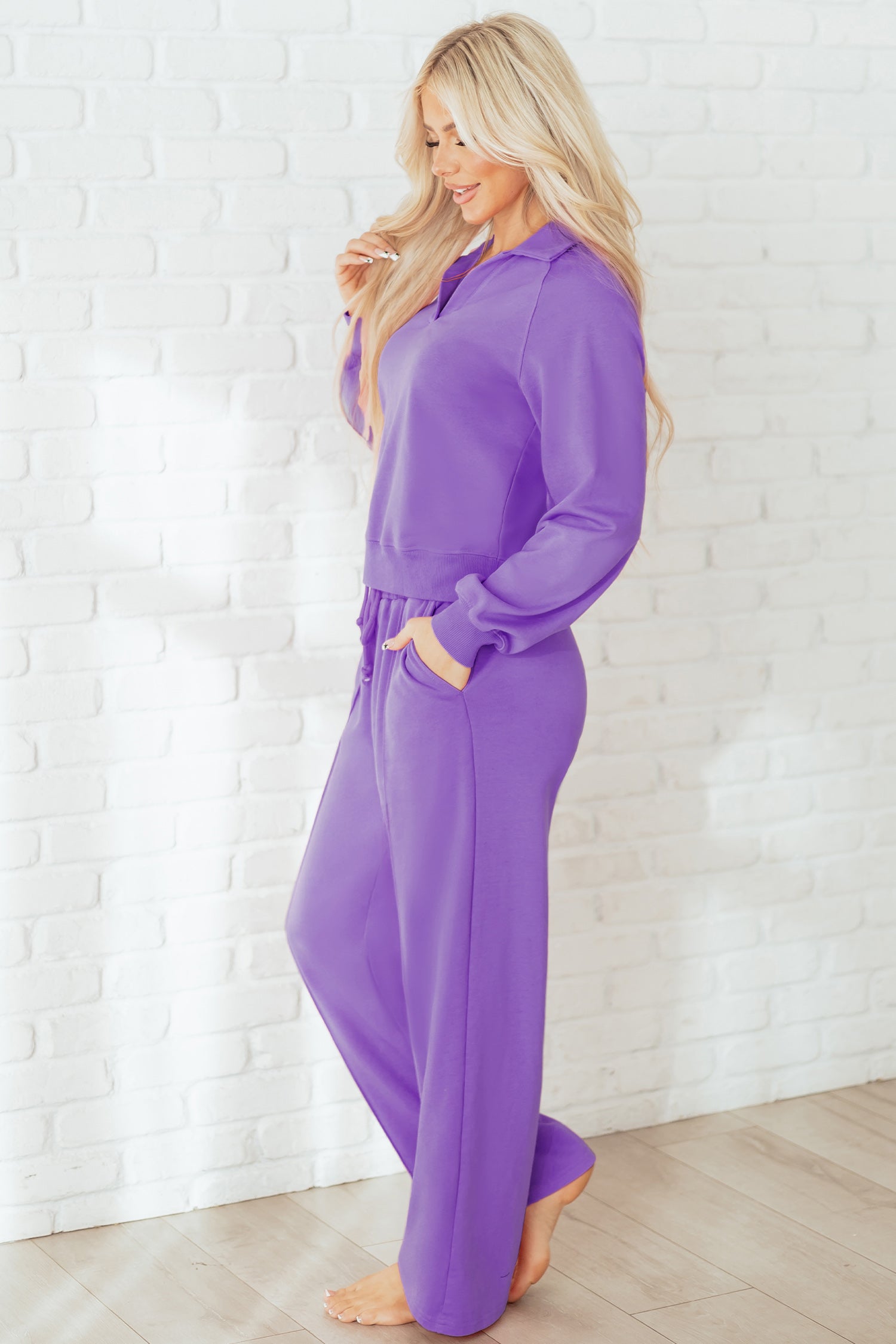Wisteria Solid Color Collared Pullover and Central Seam Set